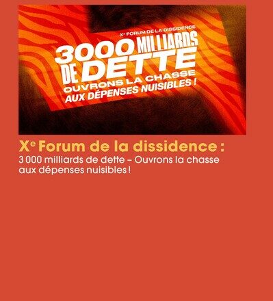 dépenses publiques