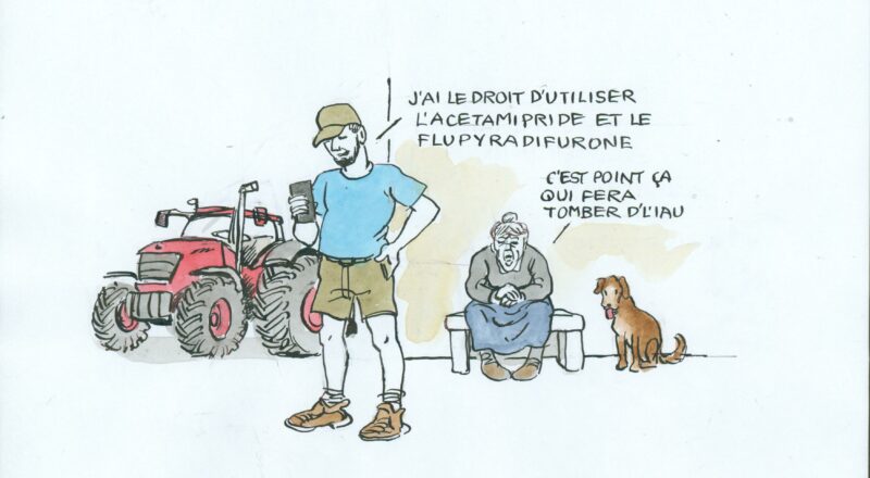 agriculture