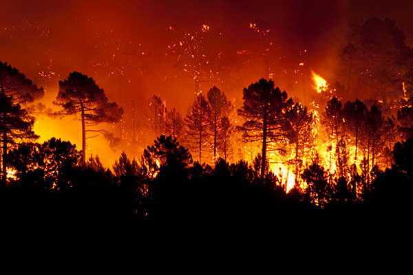 incendies
