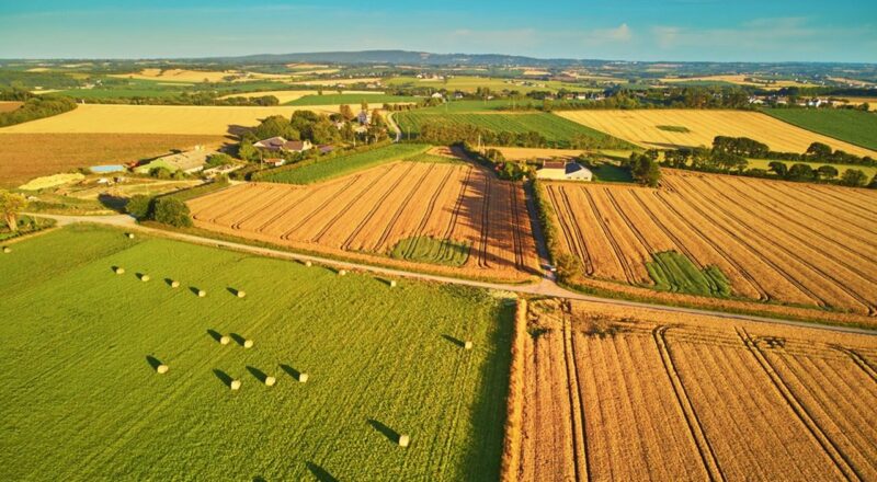 agriculture